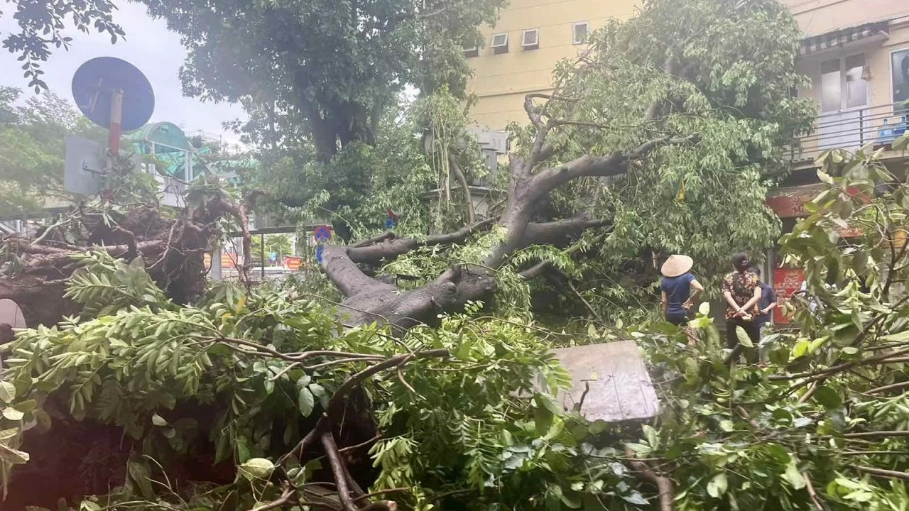 Khi bão không chỉ là chuyện trên TV...