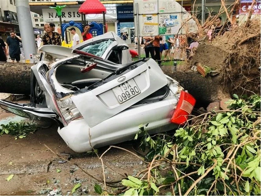 A car crushed by fallen tree in front of HH Building, Linh Dam urban area, Hanoi. (Photo: VNA)