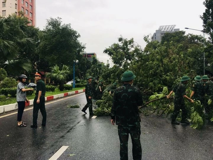 Hà Nội: Triển khai các biện pháp khắc phục, giải tỏa cây xanh gãy đổ sau cơn bão số 3