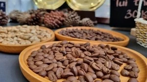 New freeze-dried instant coffee factory to be built in Binh Dinh province