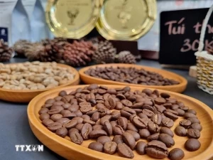 New freeze-dried instant coffee factory to be built in Binh Dinh province