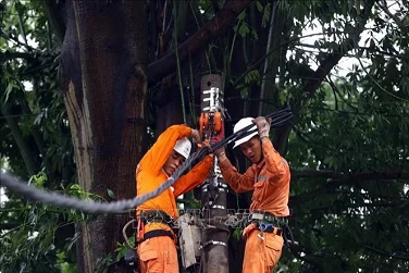 Electricity supply resumed to over 4.8 million customers affected by typhoon