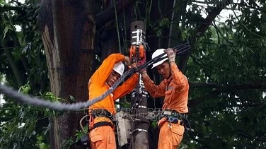 Electricity supply resumed to over 4.8 million customers affected by typhoon Yagi