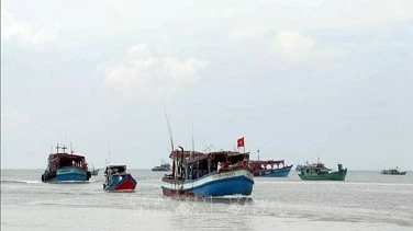 Ca Mau launches peak campaign against IUU fishing