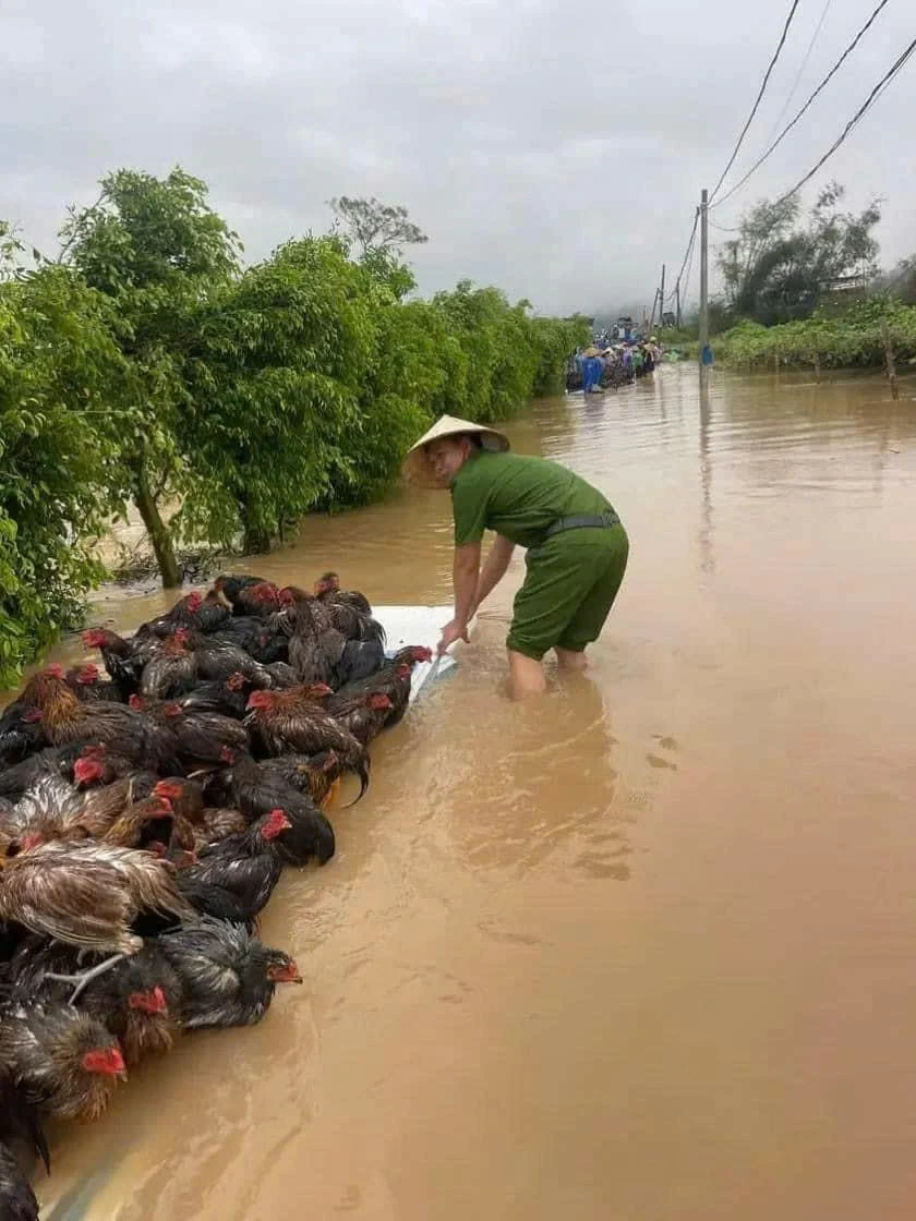 Lũ lụt miền Bắc: Sức mạnh đoàn kết của hai tiếng ‘đồng bào’