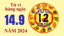 Tử vi hôm nay, xem tử vi 12 con giáp hôm nay ngày 14/9/2024: Tuổi Hợi công việc nhiều lịch trình