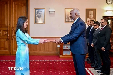 Vietnam, Maldives explore economic opportunities