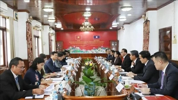 Vietnam, Laos Party Central Committees' Organisation Commissions strengthen cooperative ties