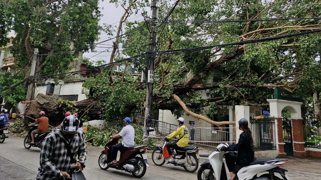 Bão số 3 gây thiệt hại ước tính 40.000 tỷ đồng, tăng trưởng GRDP năm 2024 của nhiều địa phương có thể giảm trên 0,5%