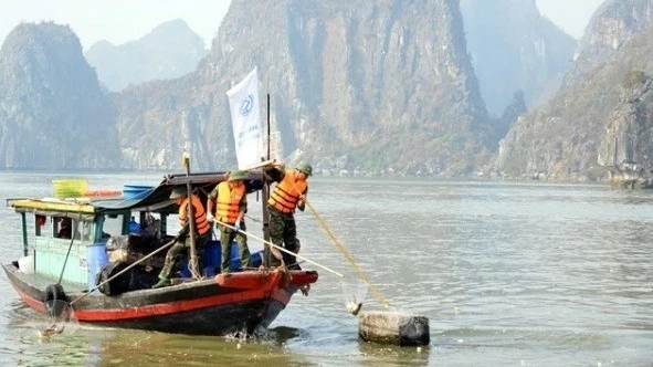 Post-storm cleanup campaign in Ha Long Bay launched