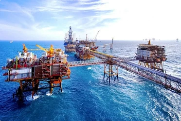 Petrovietnam named most profitable firm in 2024