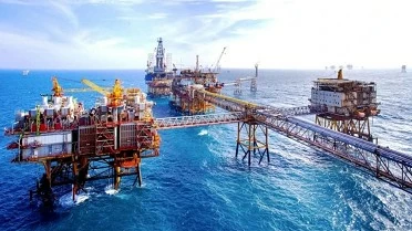 Petrovietnam named most profitable firm in 2024