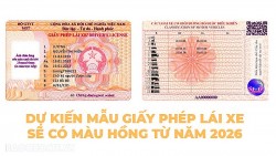 Dự kiến mẫu giấy phép lái xe sẽ có màu hồng từ năm 2026