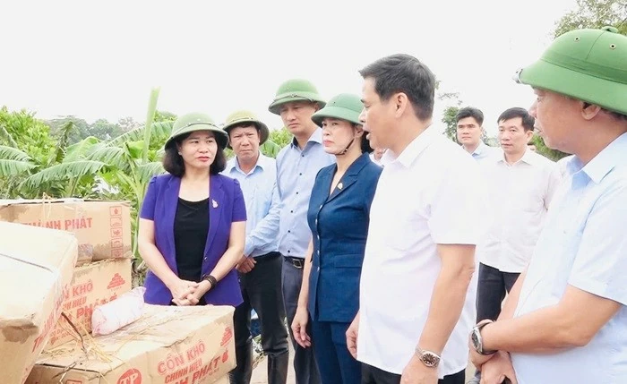 Phó Bí thư Thường trực Thành ủy Nguyễn Thị Tuyến và đoàn công tác kiểm tra công tác phòng, chống lụt bão tại xã An Phú, huyện Mỹ Đức