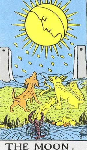 Bài tarot hôm nay: