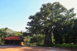 Cố đô Lam Kinh và tính sử thi hùng tráng