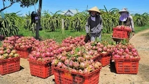 Vietnam-China trade turnover hits nearly 130.8 billion USD