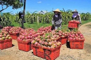 Vietnam-China trade turnover hits nearly 130.8 billion USD