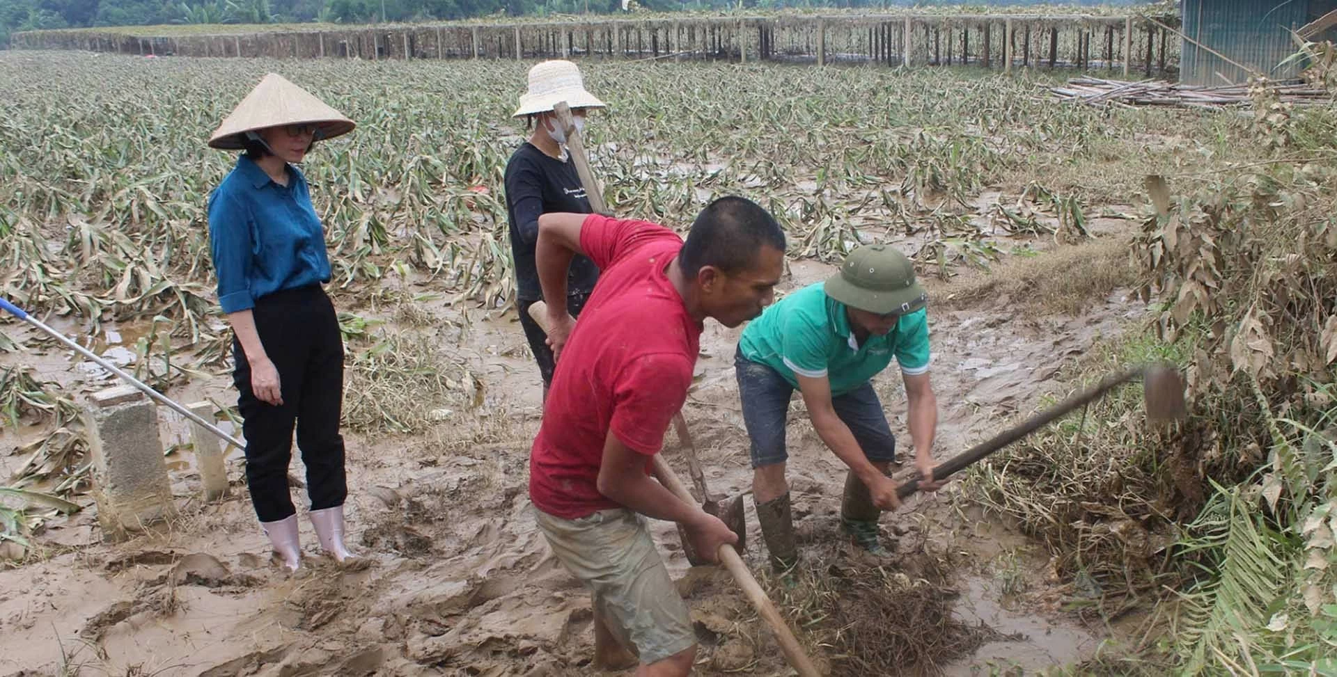 Chính phủ ban hành Nghị quyết về các nhiệm vụ, giải pháp trọng tâm khắc phục hậu quả bão số 3