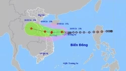 Dự báo diễn biến áp thấp nhiệt đới/bão: Di chuyển hướng Tây, tiến gần về phía Đà Nẵng, ảnh hưởng khu vực đất liền Hà Tĩnh-Quảng Nam