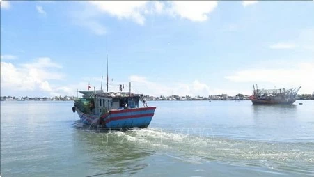 Thua Thien- Hue must tighten vessel control to fight IUU fishing: Deputy Minister