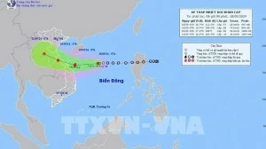 Tropical depression expected to strengthen into typhoon within 24 hours