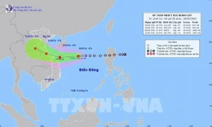 Tropical depression expected to strengthen into typhoon within 24 hours