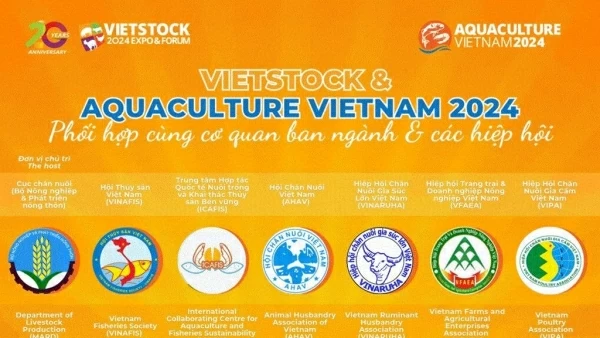 Vietstock 2024 expects to host more than 400 exhibitors