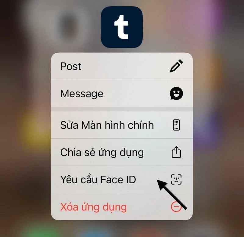 iOS 18 cho phép ẩn hoặc khóa ứng dụng bằng Face ID, Touch ID hoặc mật mã