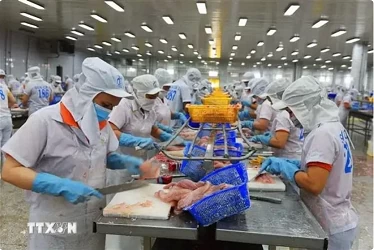 US Commerce Department announces preliminary anti-dumping review results for Vietnamese catfish exports