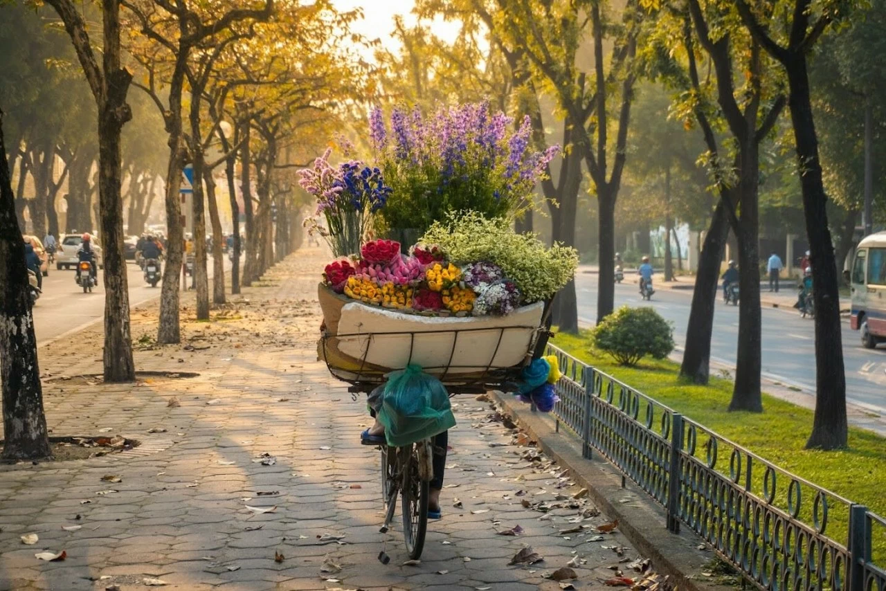 Mùa Thu Hà Nội: 'Đặc sản’ của ngành du lịch của Thủ đô Mùa Thu Hà Nội: 'Đặc sản’ của ngành du lịch của Thủ đô