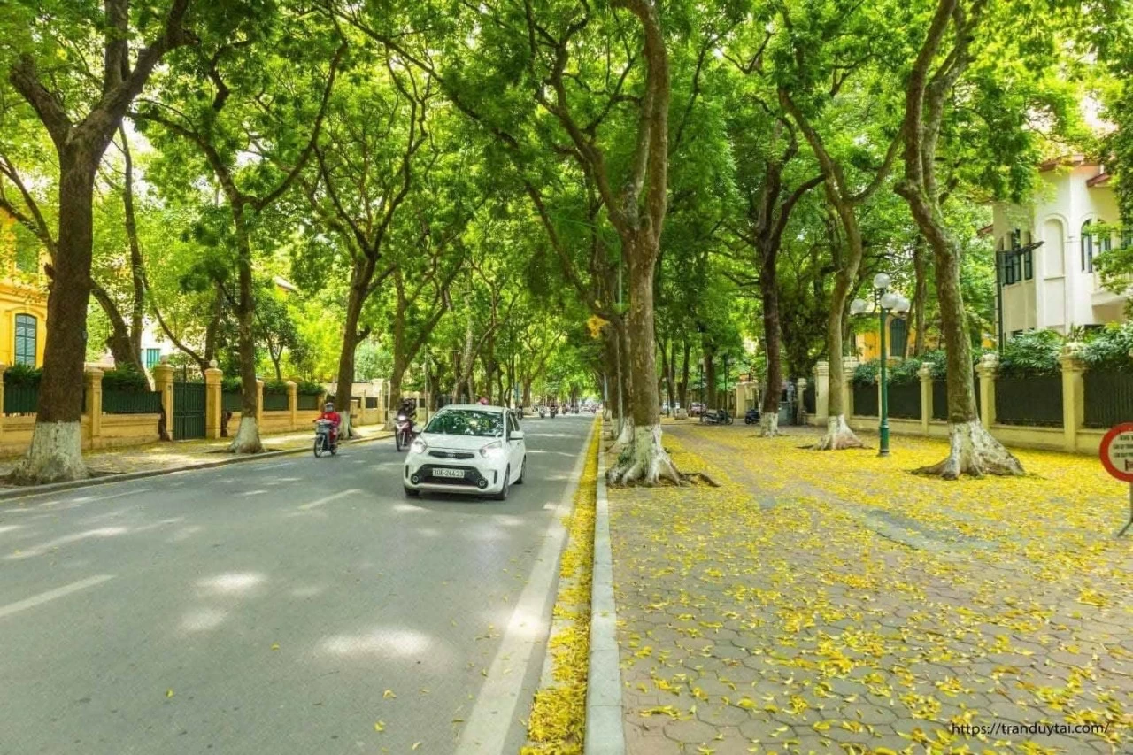 Mùa Thu Hà Nội: 'Đặc sản’ của ngành du lịch của Thủ đô