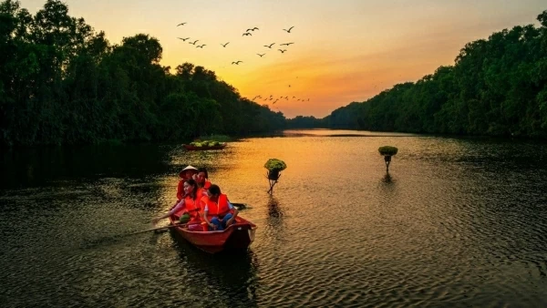 The lush green cajuput forest