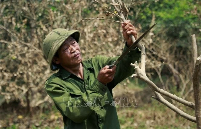 Sôi động Festival Thu Hà Nội lần thứ 2