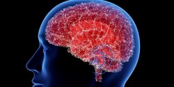Đột phá mới trong điều trị ở Bồ Đào Nha, mở ra hy vọng cho bệnh nhân Alzheimer