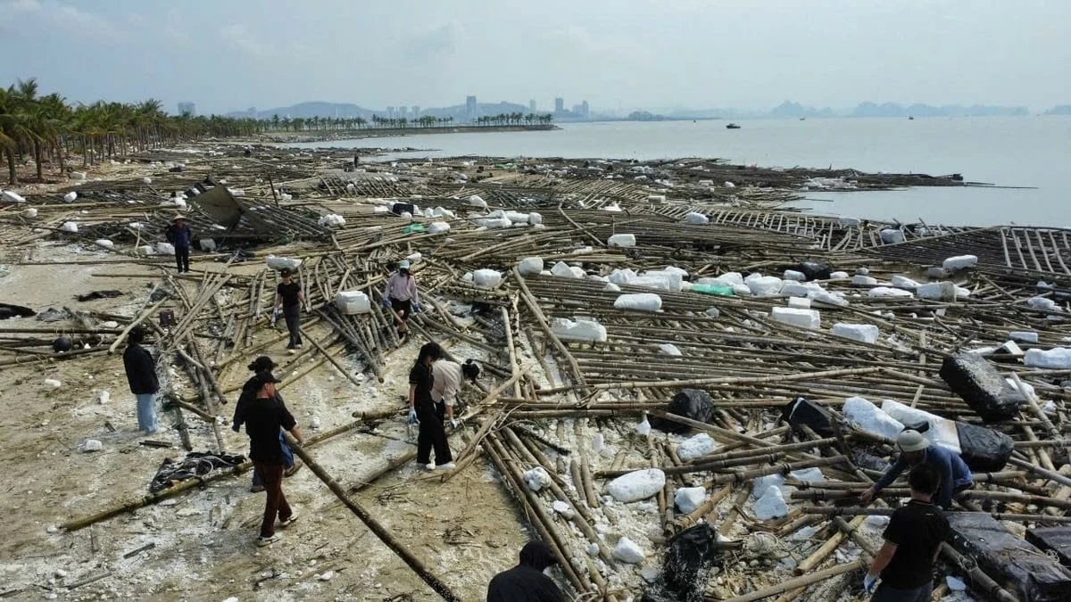 Tình nguyện viên, người dân địa phương chung tay làm sạch thành phố Hạ Long