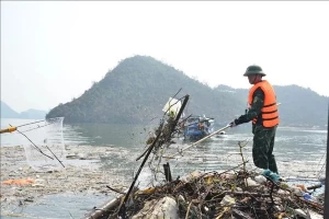 Quang Ninh works hard on post-typhoon waste collection in Ha Long Bay