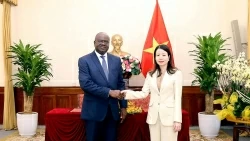 Ghana sẵn sàng mở rộng hợp tác thiết thực, hiệu quả trên tất cả các lĩnh vực với Việt Nam thời gian tới