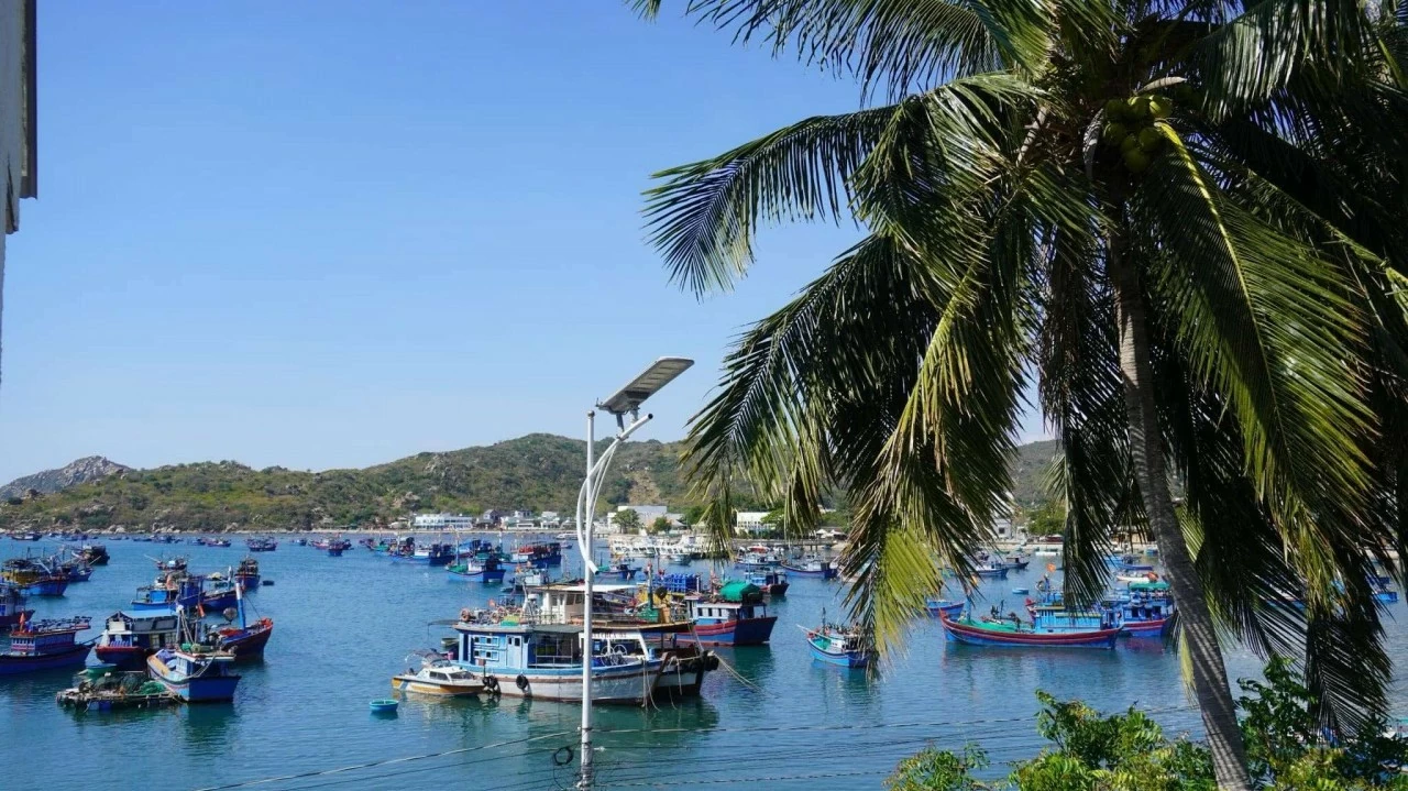 Du lịch Ninh Thuận: Khám phá làng chài thơ mộng bên vịnh Vĩnh Hy