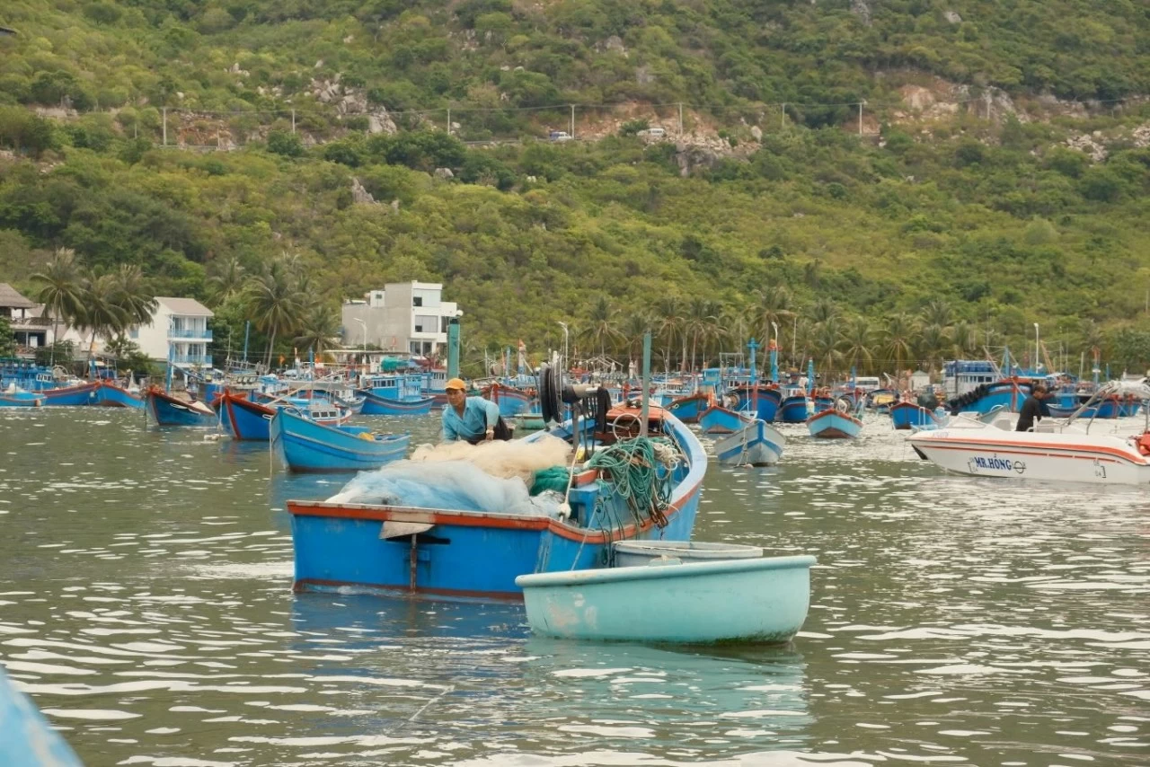 Du lịch Ninh Thuận: Khám phá làng chài thơ mộng bên vịnh Vĩnh Hy