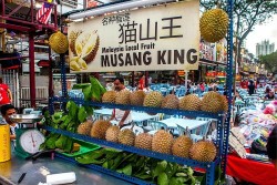 Ý nghĩa những quả sầu riêng thơm ngon mà Quốc vương Malaysia mang tới Trung Quốc