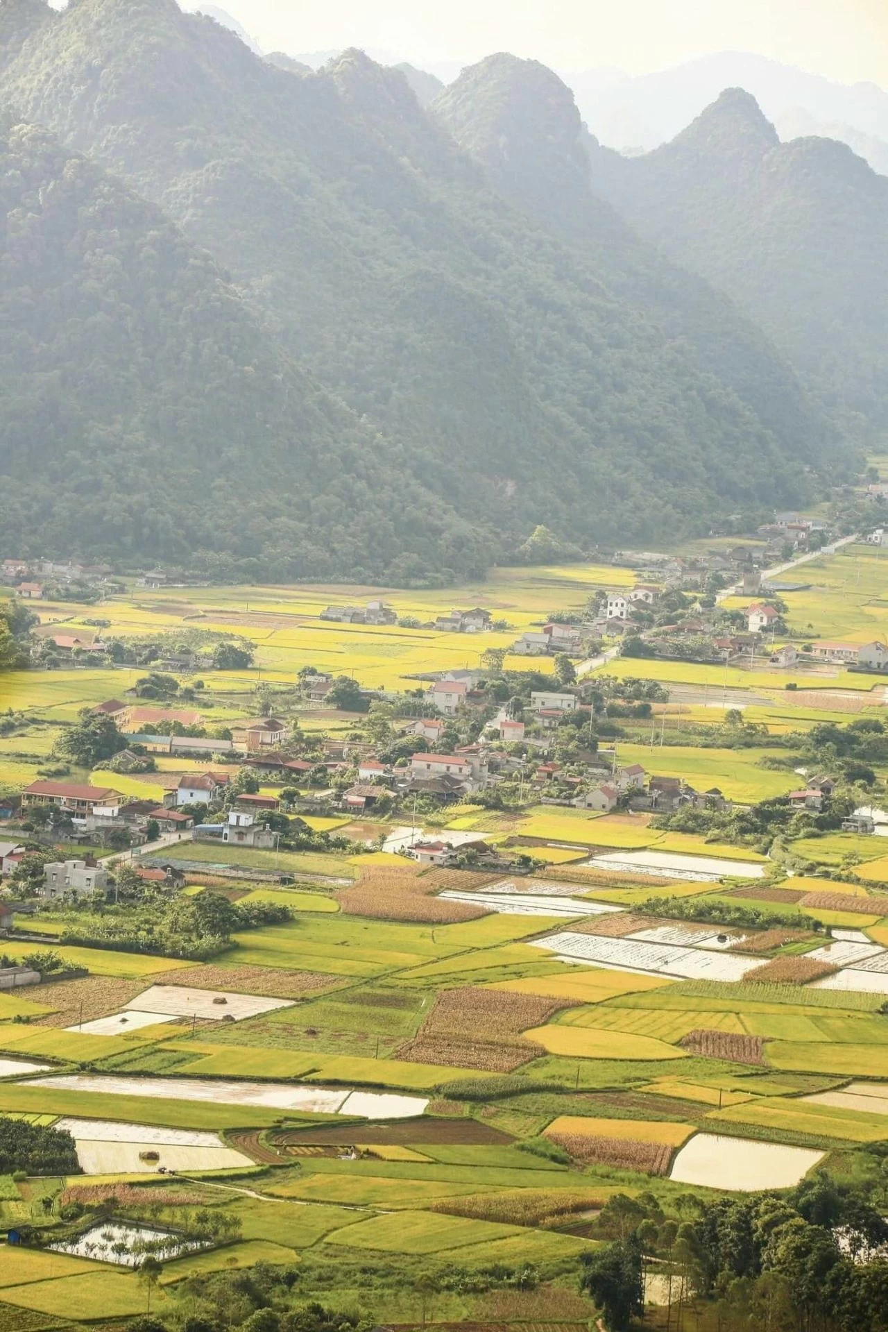 Du lịch Lạng Sơn: Ngắm mùa vàng ở thung lũng Bắc Sơn