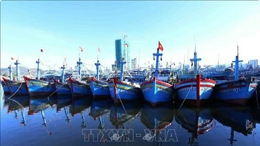 Binh Dinh helps boats with VMS installation to combat IUU fishing