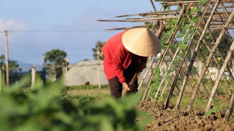 du bao thoi tiet ca nuoc co nang vao ban ngay chieu toi va dem co mua rao va dong vai noi