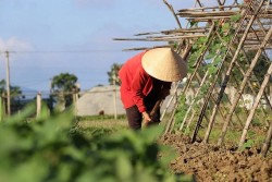 Dự báo thời tiết: Cả nước có nắng vào ban ngày, chiều tối và đêm có mưa rào và dông vài nơi