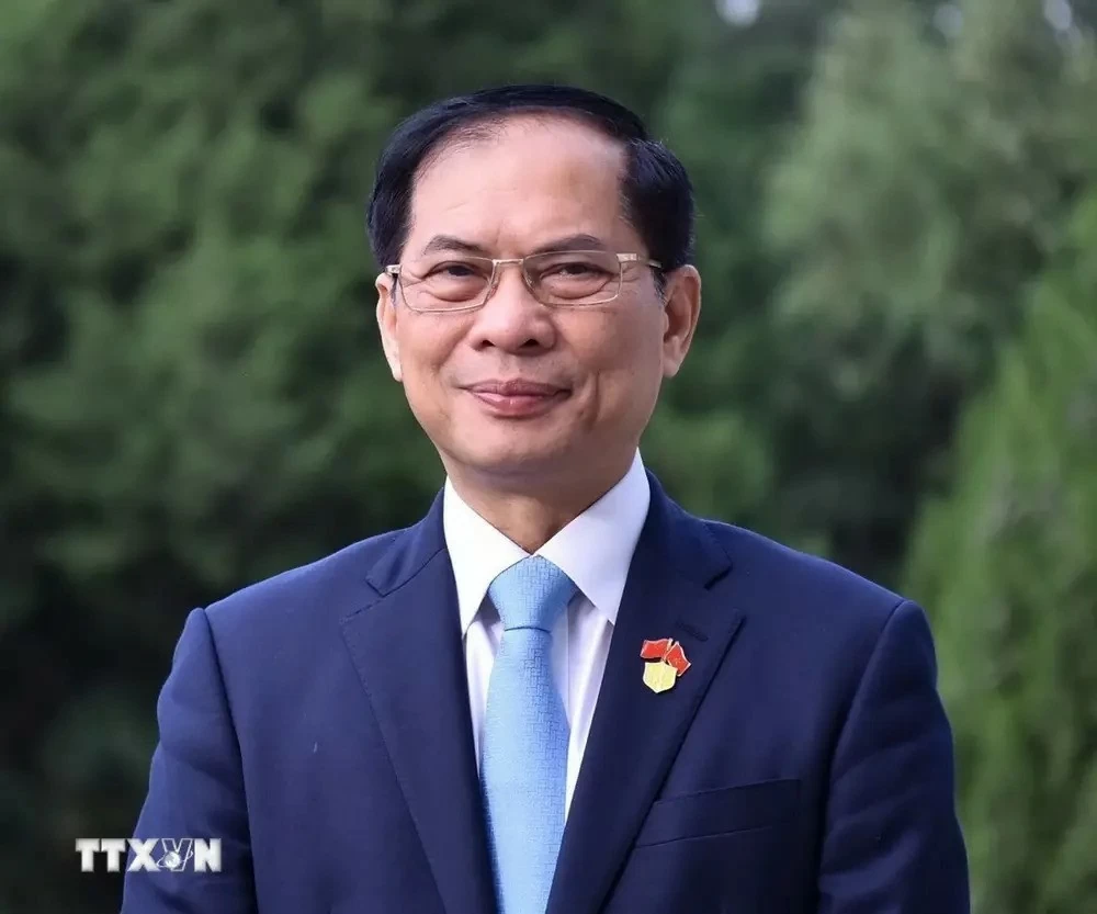 Deputy PM Bui Thanh Son