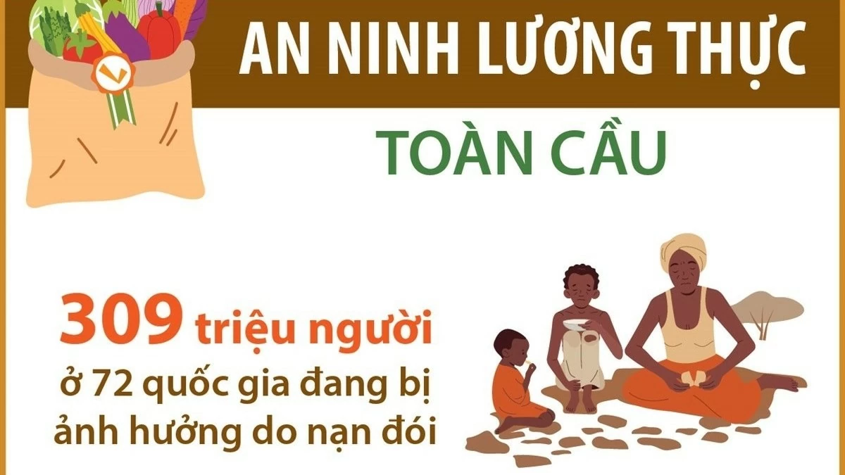 An ninh lương thực và xung đột vũ trang: Hơn 300 triệu người đang bị ảnh hưởng bởi nạn đói