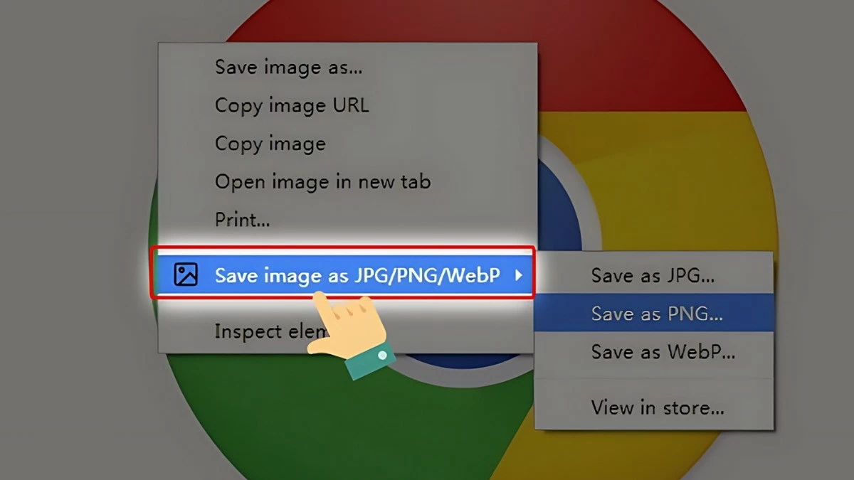 Bật mí 4 cách chuyển đổi ảnh WEBP sang JPG đơn giản