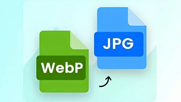 Bật mí 4 cách chuyển đổi ảnh WEBP sang JPG đơn giản