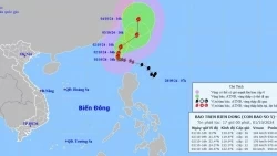 Dự báo bão số 5: Duy trì sức gió cấp 16, sẽ giảm cường độ trên vùng biển phía Đông Đài Loan (Trung Quốc)